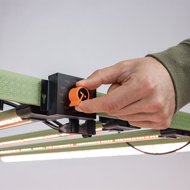 LED Lighting and Heat Management in Indoor Cultivation